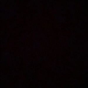 Meet your Posher, Bianca